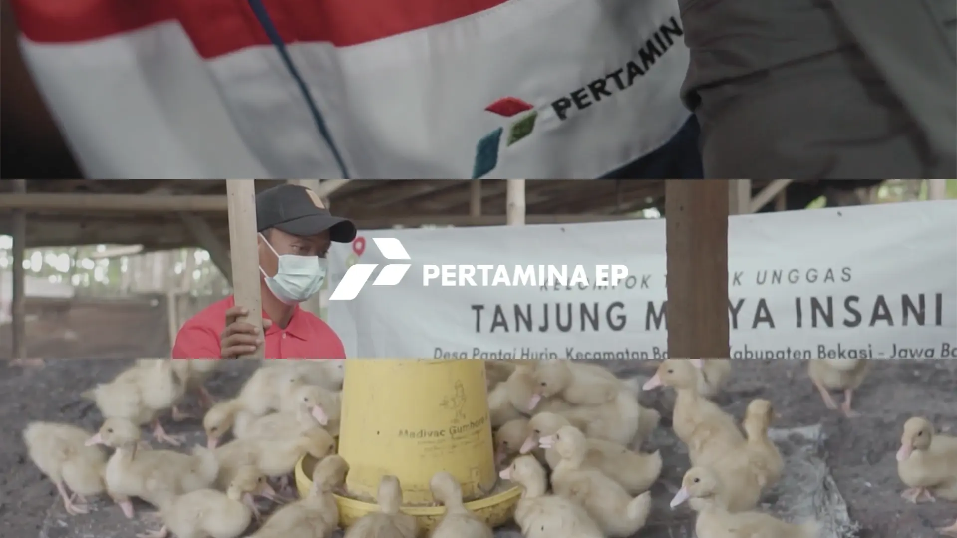 Pertamina EP - BERGEGAS